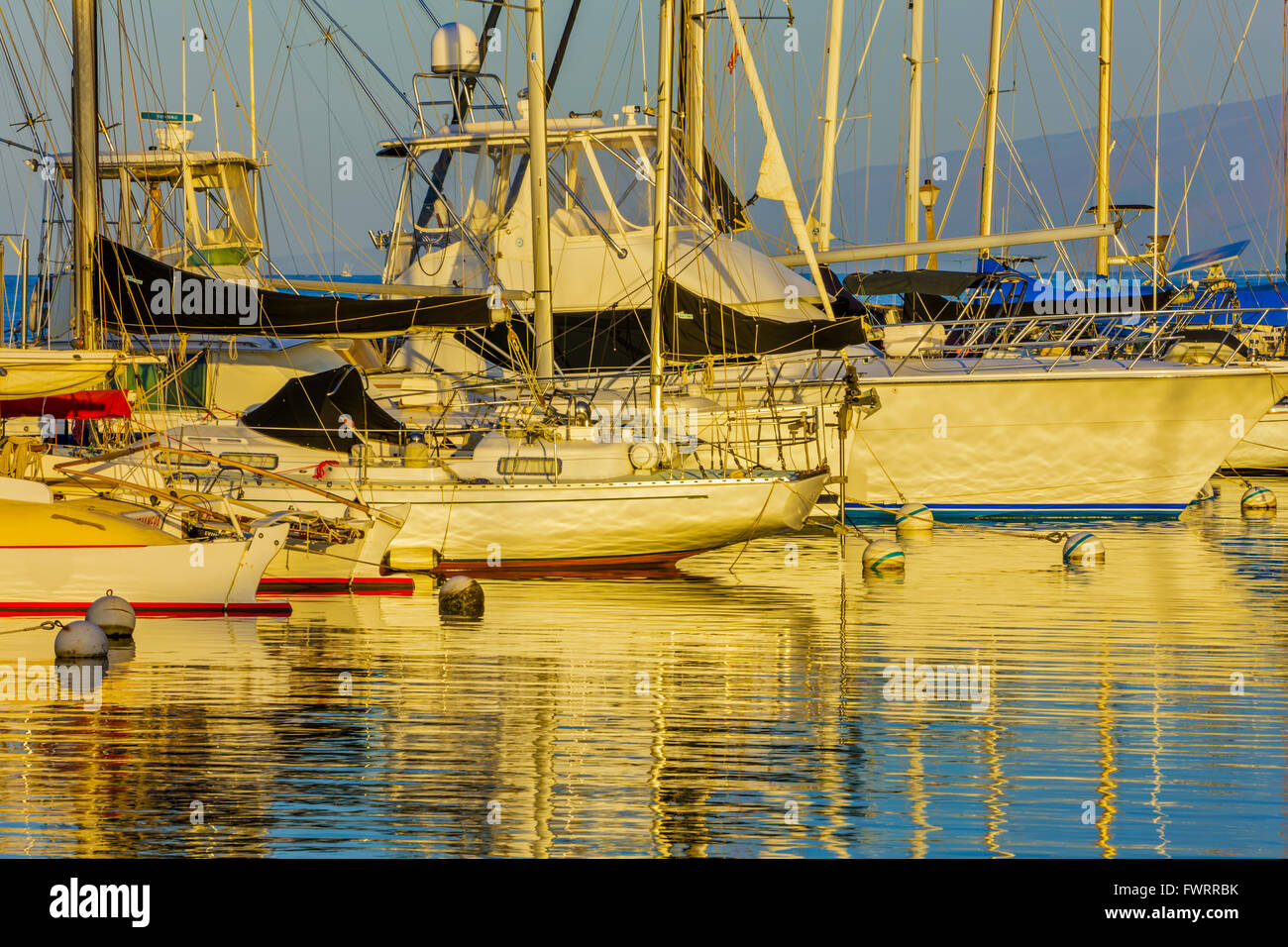 Boote im Hafen von Lahaina Marina Maui Hawaii angedockt Stockfoto