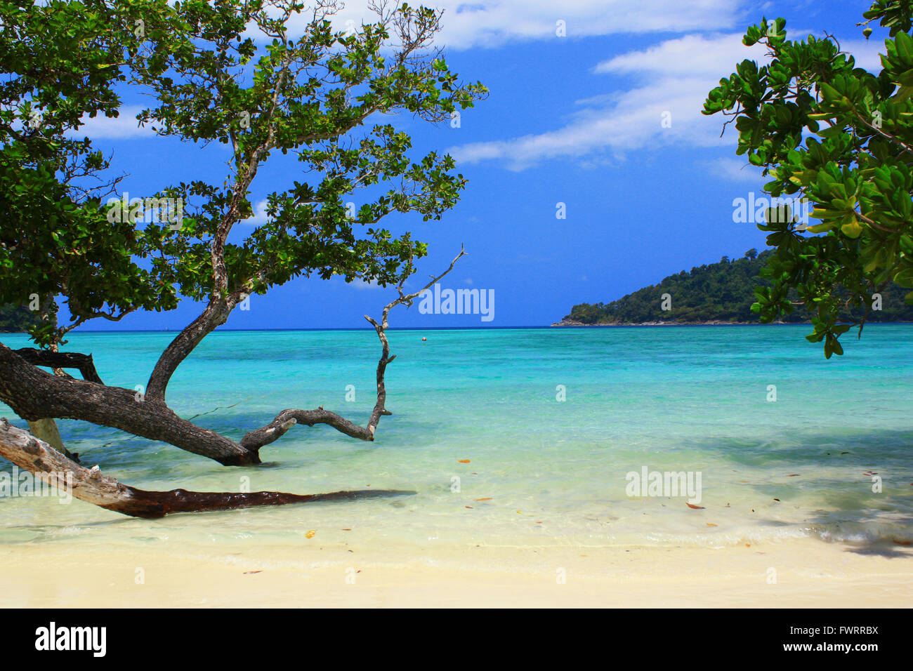 Ao Mai Ngam. Marine Park Surin Inseln. Phangnga. Thailand Stockfoto