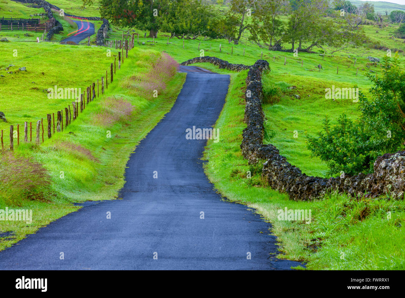 Thompson Straße hinauf Land Maui Stockfoto