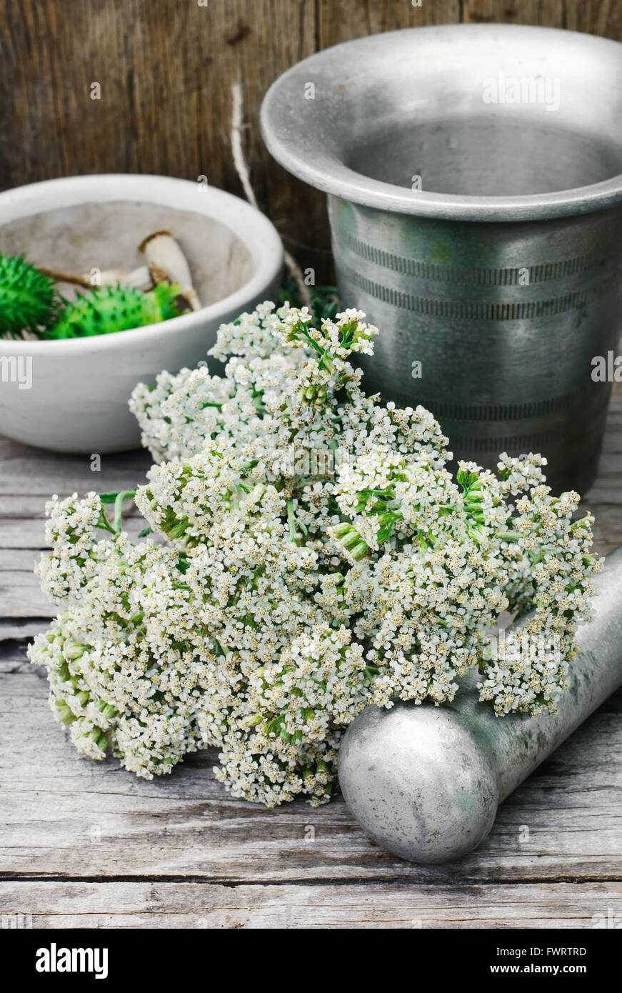 Bündel von Heilkräutern auf dem Hintergrund der Mörser und Stößel Stockfoto