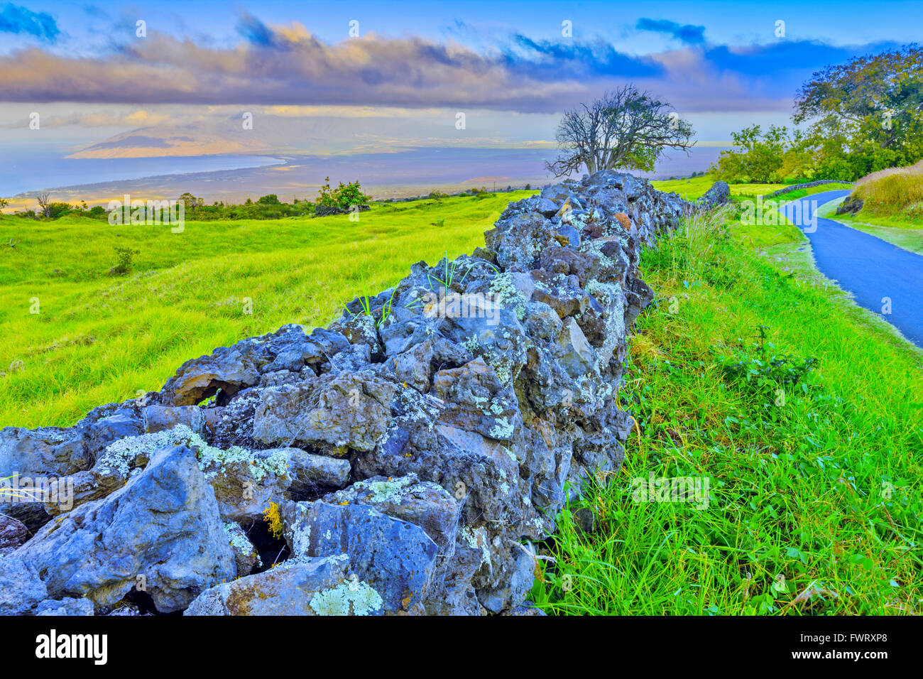 Upcountry Maui Stockfoto
