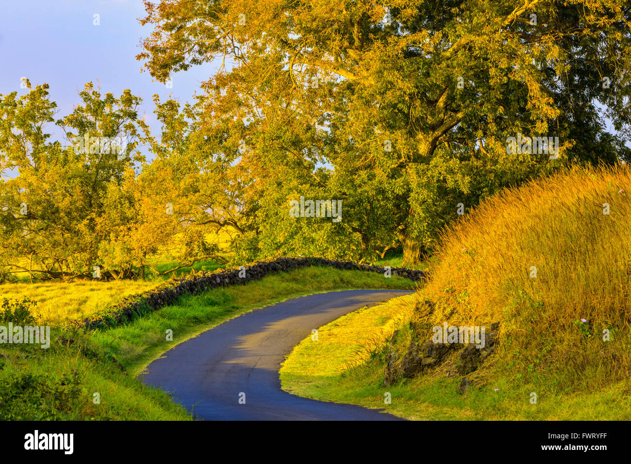 Im Landesinneren, Maui Stockfoto
