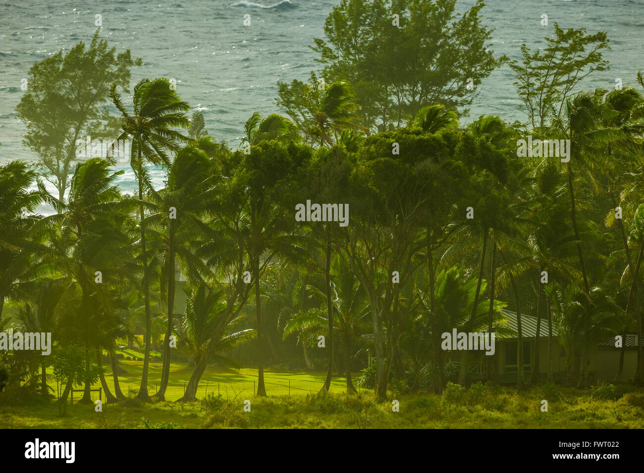 Hana Bereich Küste Morgen, Maui Stockfoto
