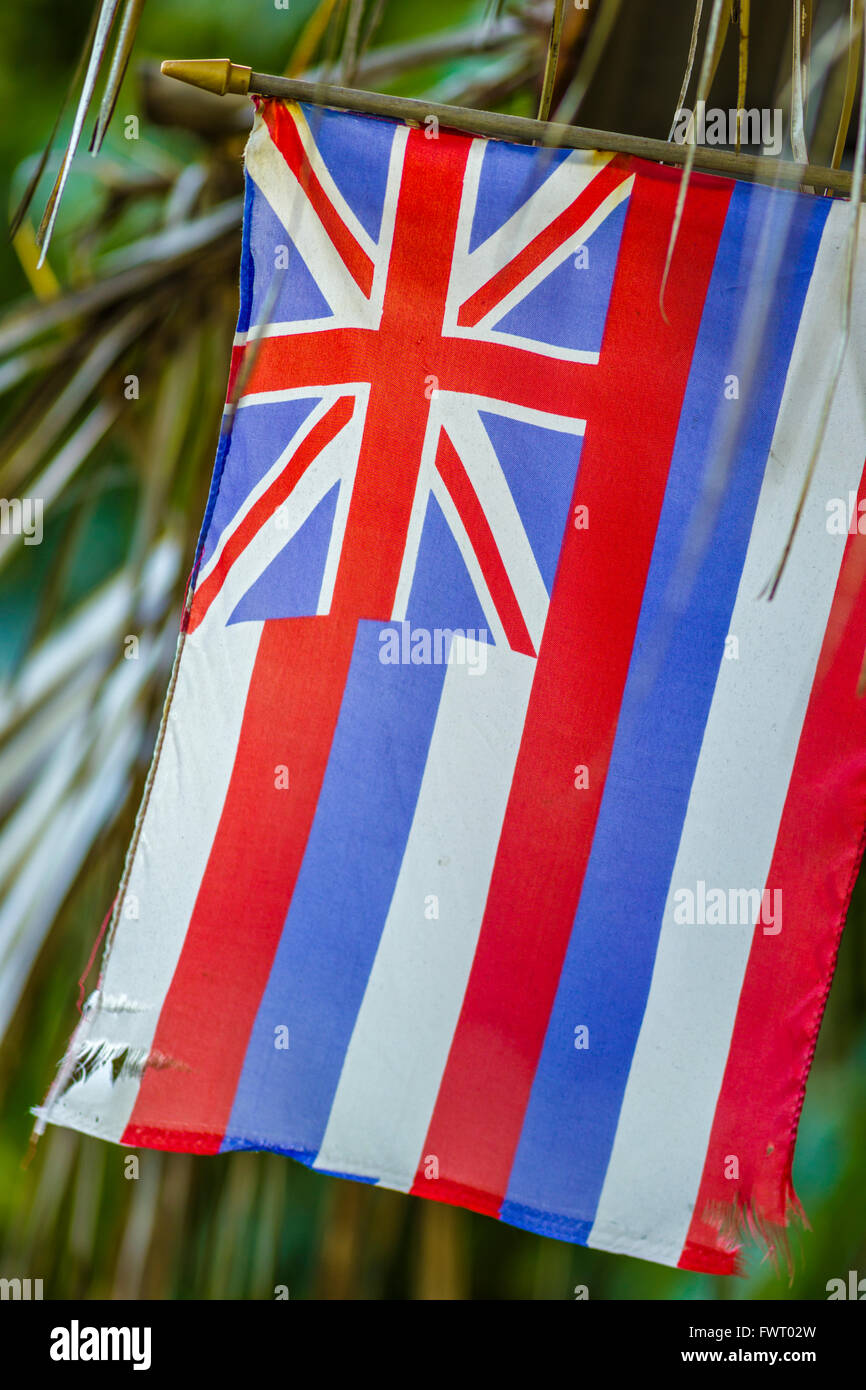 Hawaiian Staatsflagge Stockfoto