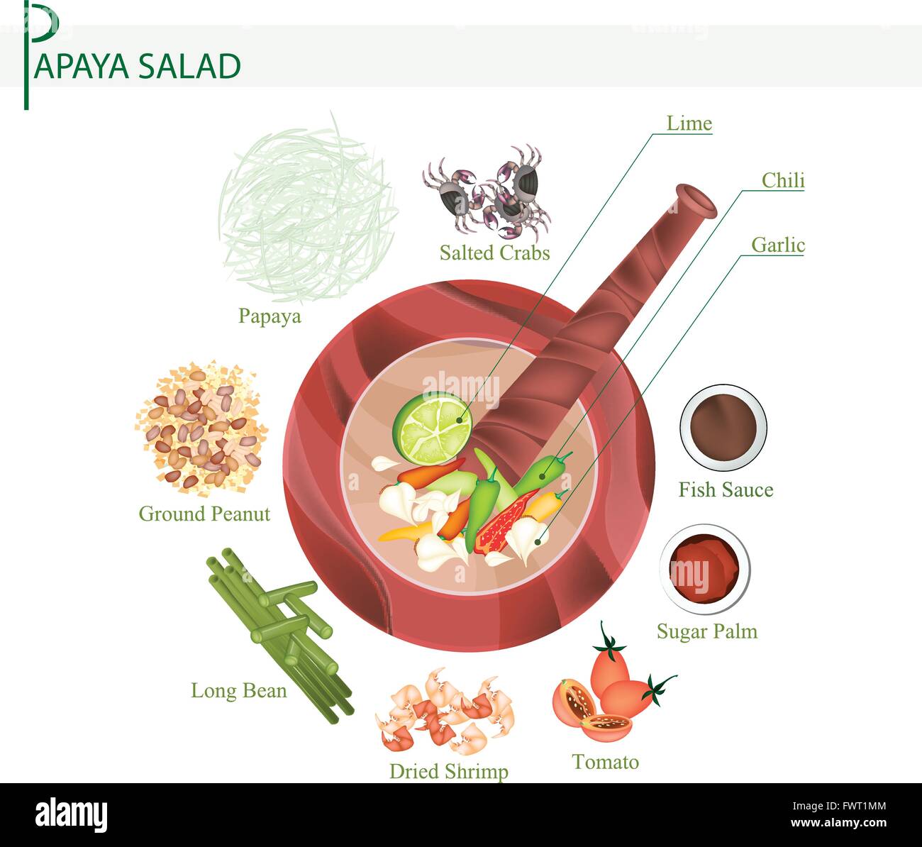 Küche und Essen, 11 Zutaten grüne Papaya-Salat mit fermentierten gesalzenen Krebsen. Eines das beliebteste Gericht in Thailand. Stock Vektor