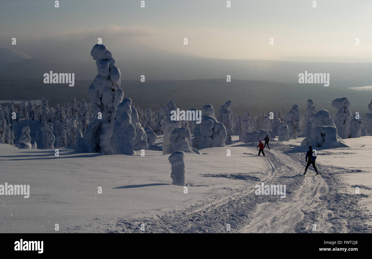 Schneebedeckte Bäume in den Fjälls von Finnisch-Lappland. Menschen sind zwischen ihnen Skifahren. Stockfoto