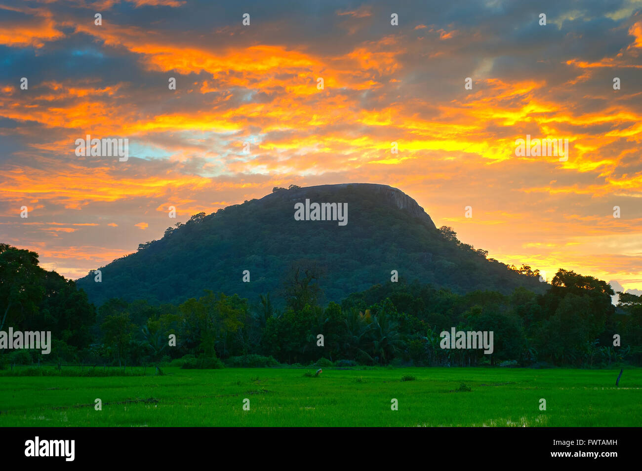 Ansicht von Sigiriya-Felsen bei farbenfrohen Sonnenuntergang. Sri Lanka Stockfoto