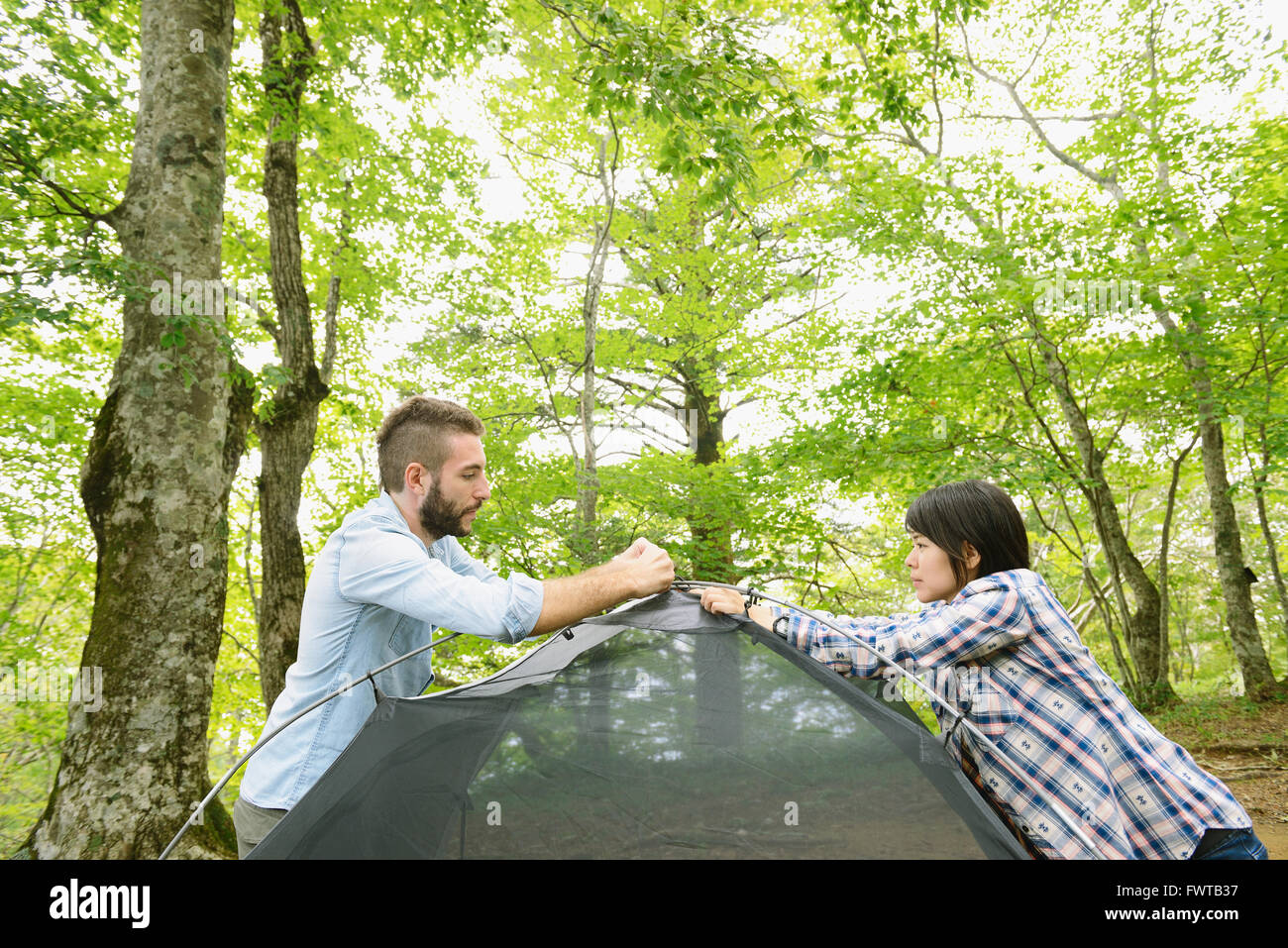 Freunde, die ein Zelt auf einem Campingplatz aufstellen Stockfoto