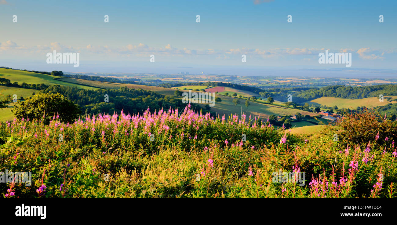 Somerset Landschaft in Richtung Hinkley Point Nuclear Power Station von Quantock Hills Stockfoto