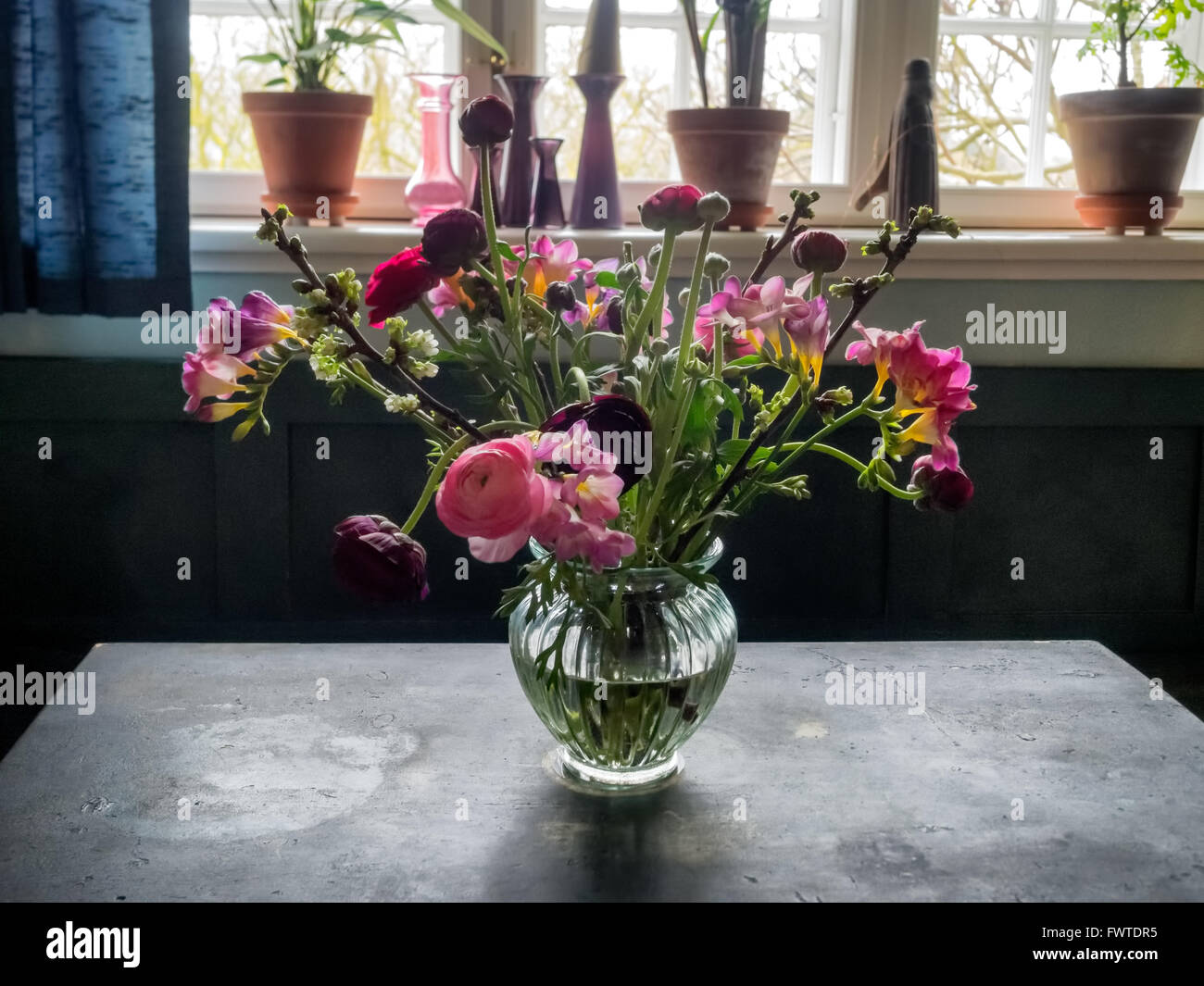 Blühen bunte Blumen in einer vase Stockfoto