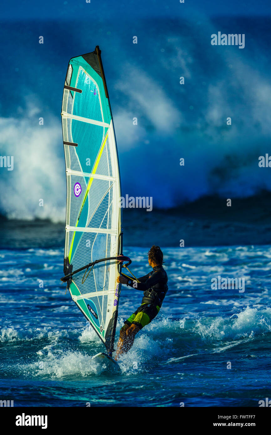 Surfen in Maui Stockfoto