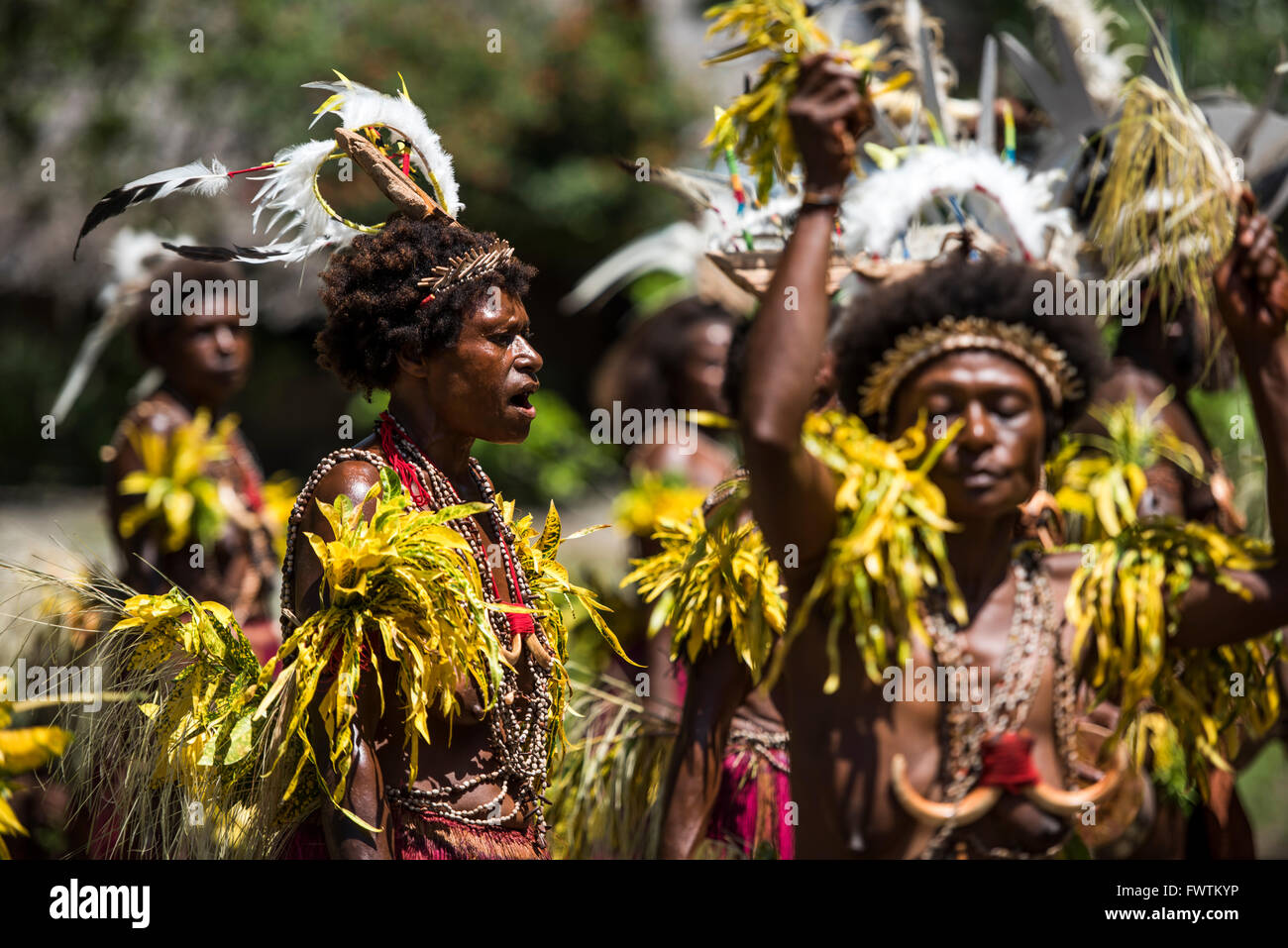 Lokale Tänzer Frauen ein traditionelles Tanzen Madang, Papua New Guinea Stockfoto