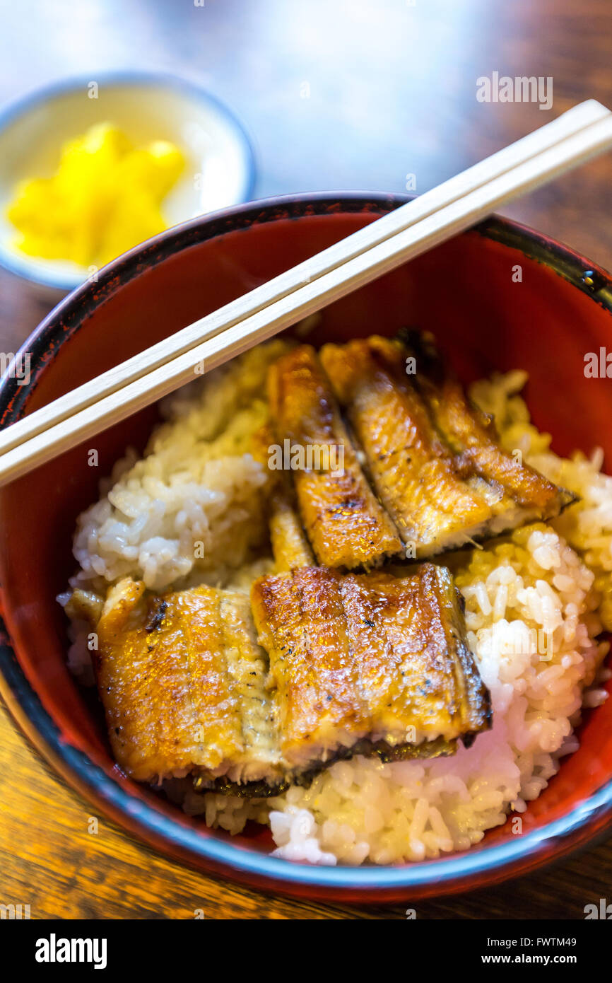 Gourmet-Unagi Donburi, gegrillter japanischer Aal auf Reis Stockfoto