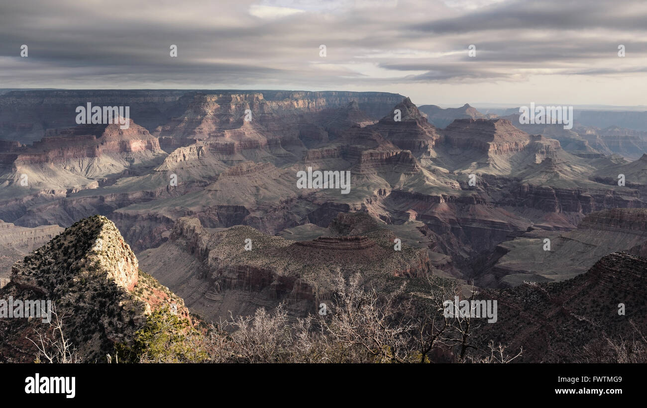 Tal in Grand Canyon National Park und nebligen Tag cloud Stockfoto