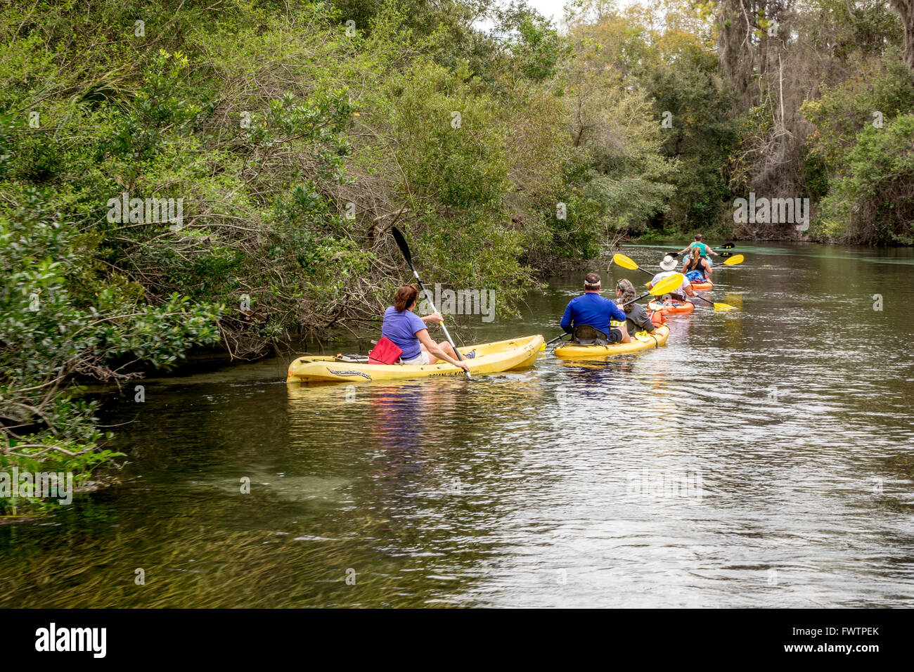 Menschen, die auf die Weeki Wachee River Springs State Park Florida Vermietung Kajaks aus paddeln Abenteuer Kajak Stockfoto