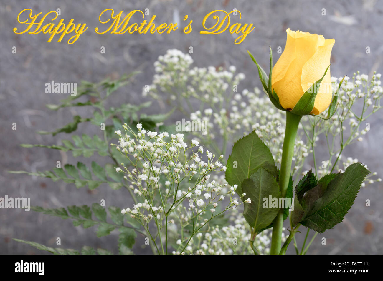 Gelbe Rosen und Schleierkraut für eine Muttertagsfeier Stockfoto
