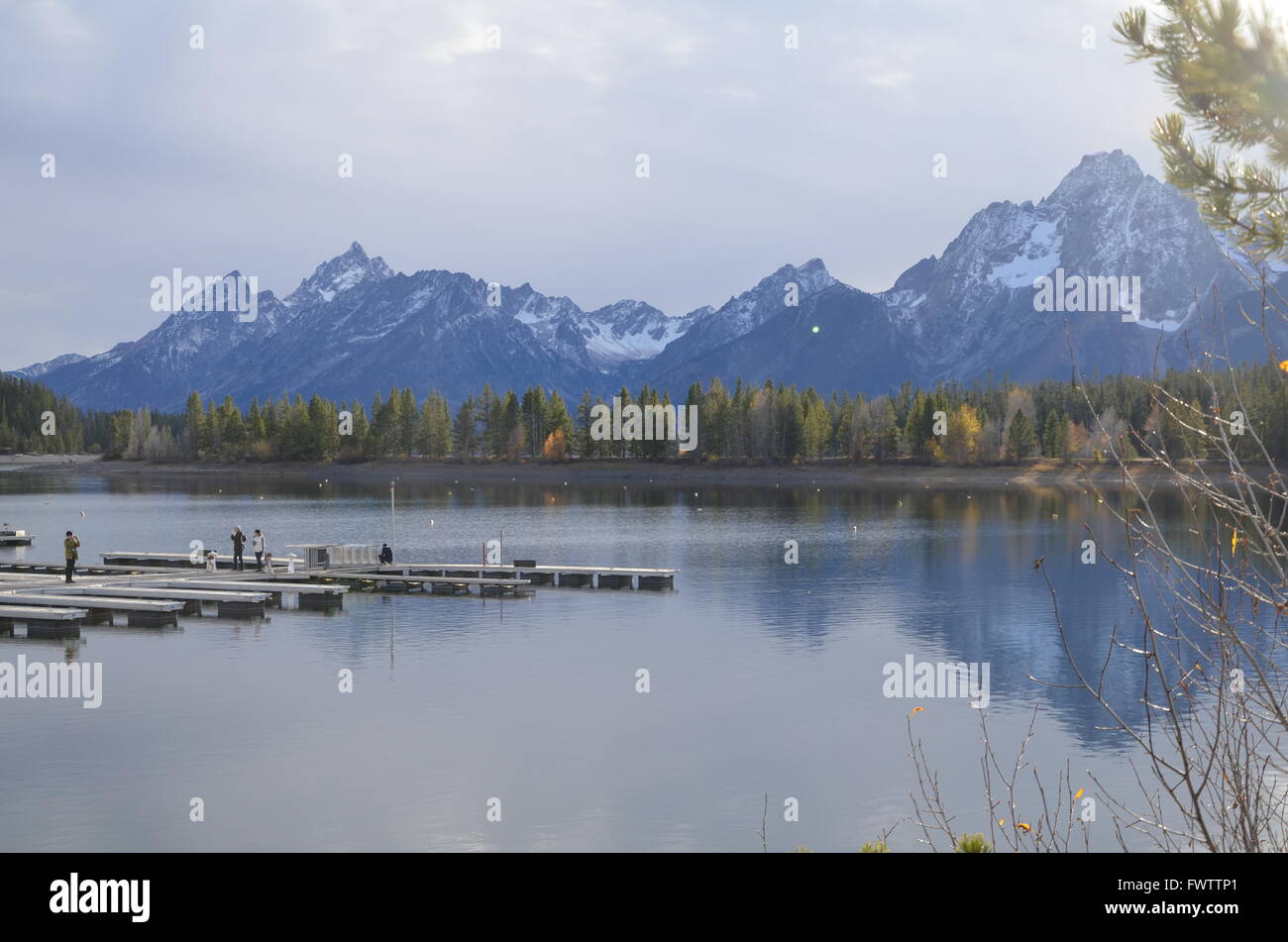 Colter Bay, Lake Jackson, Jackson, Wyoming, USA Stockfoto