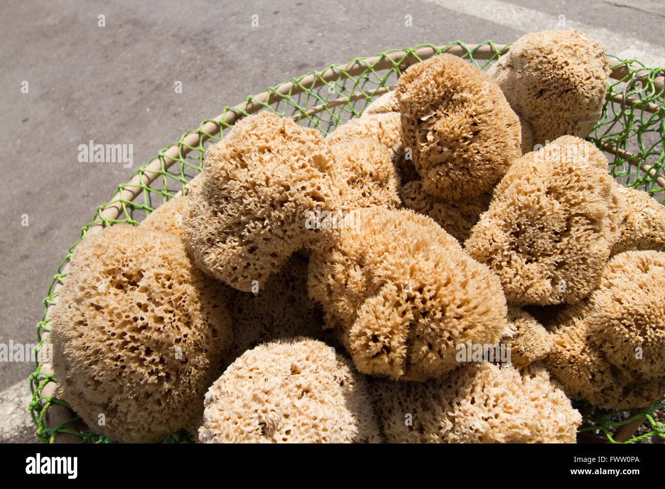 Naturschwämme fangfrischen Stockfoto