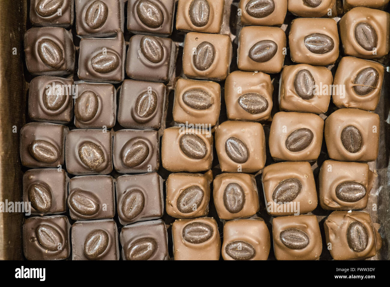 Artisan Schokolade in Schokolade Fachgeschäft in ummauerten Festung von Carcassonne Burg, Aude, Südfrankreich, Frankreich, Europa. Stockfoto