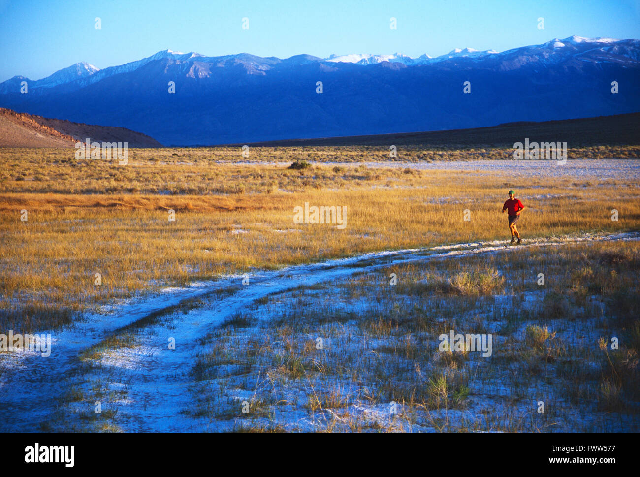 Fit junge männliche Athlet Trailläufer im Vorgebirge der Sierra Nevada, Kalifornien, Stockfoto
