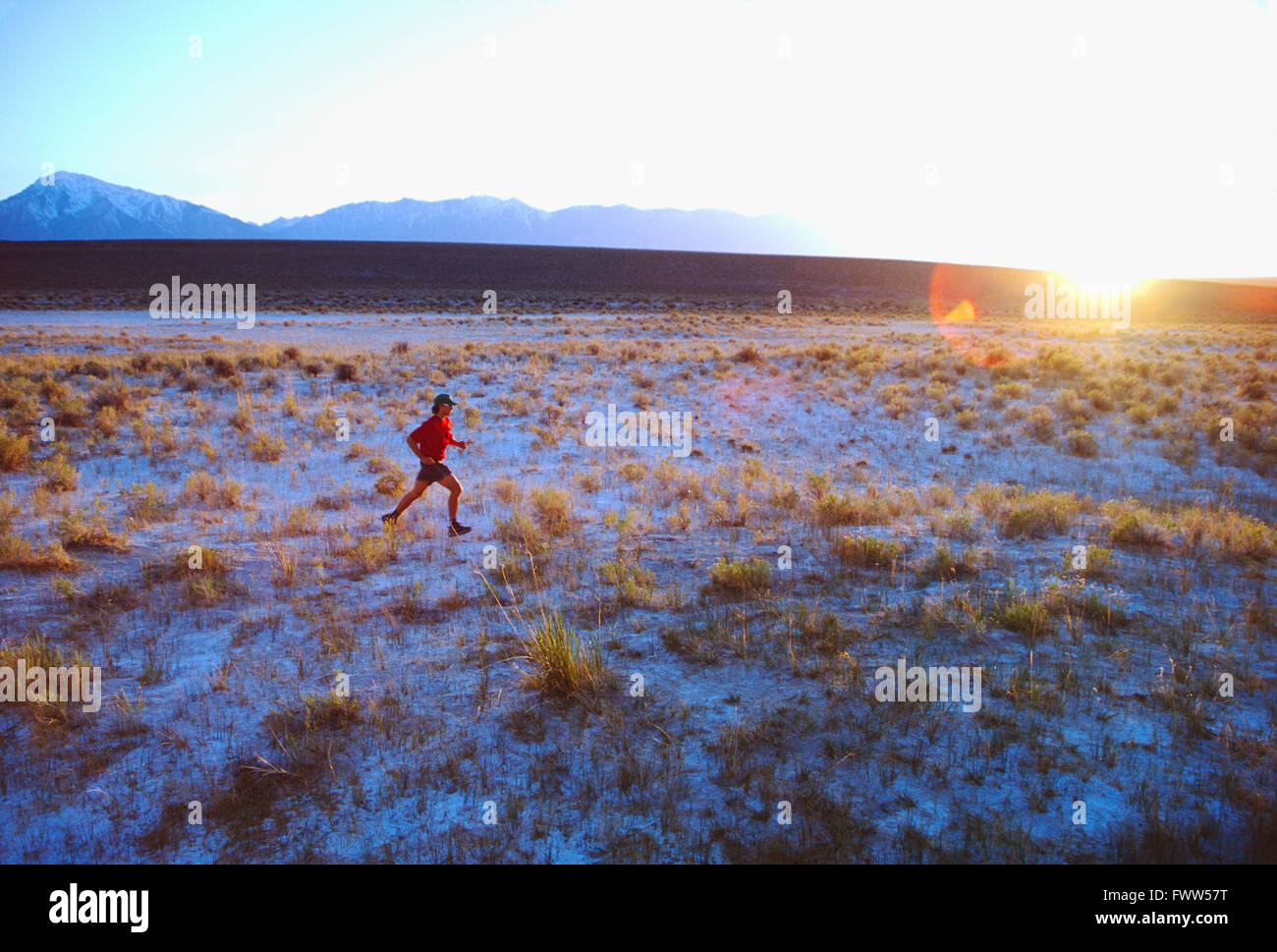 Fit junge männliche Athlet Trailläufer im Vorgebirge der Sierra Nevada bei Sonnenuntergang Stockfoto