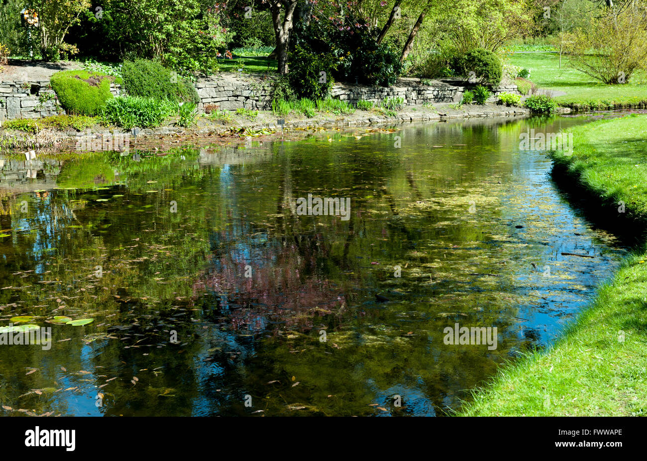 Dublin, Irland -21, April 2015: Die wichtigsten Teich von The National Botanic Gardens am 21. April 2015 in Dublin, Irland. Schöne Stockfoto