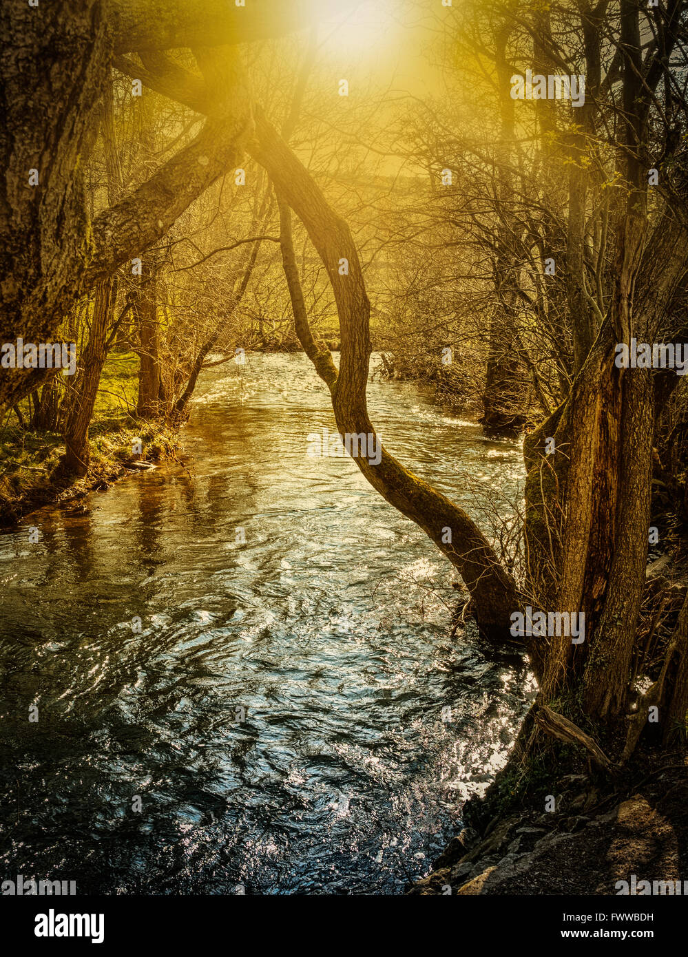 Baum vor Natur Landschaft uk Großbritannien Stockfoto