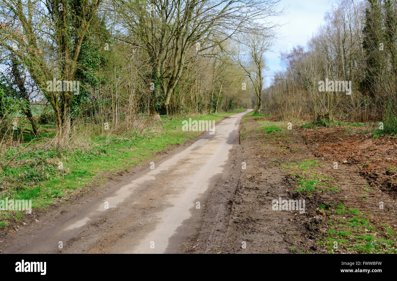 Unbefestigte Straße in der Landschaft mit Wäldern, in West Sussex, England, UK. Stockfoto