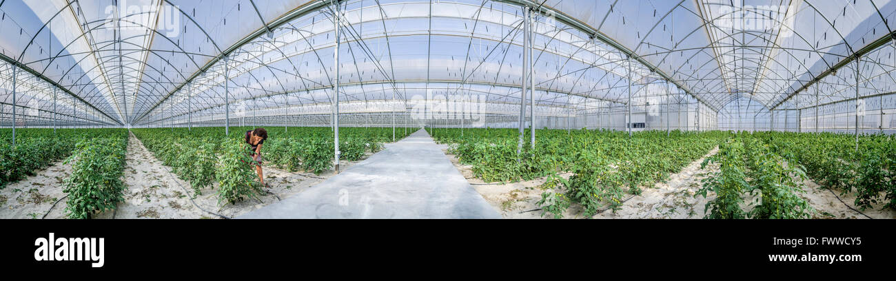 Almeria spain greenhouse Fotos und Bildmaterial in hoher Auflösung
