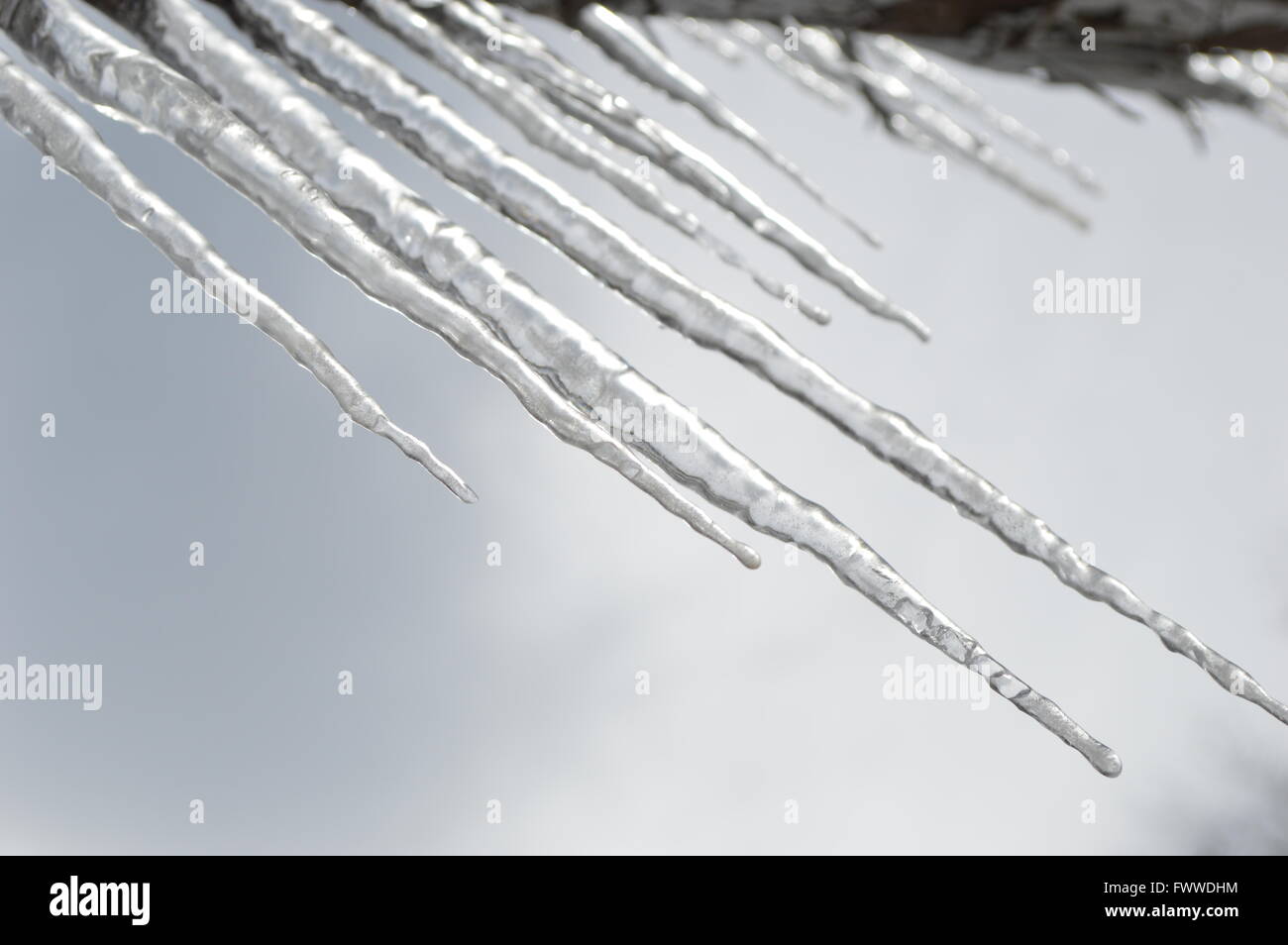 Eiszapfen hängen von einem Dach gegen einen kalten grauen Himmel Stockfoto
