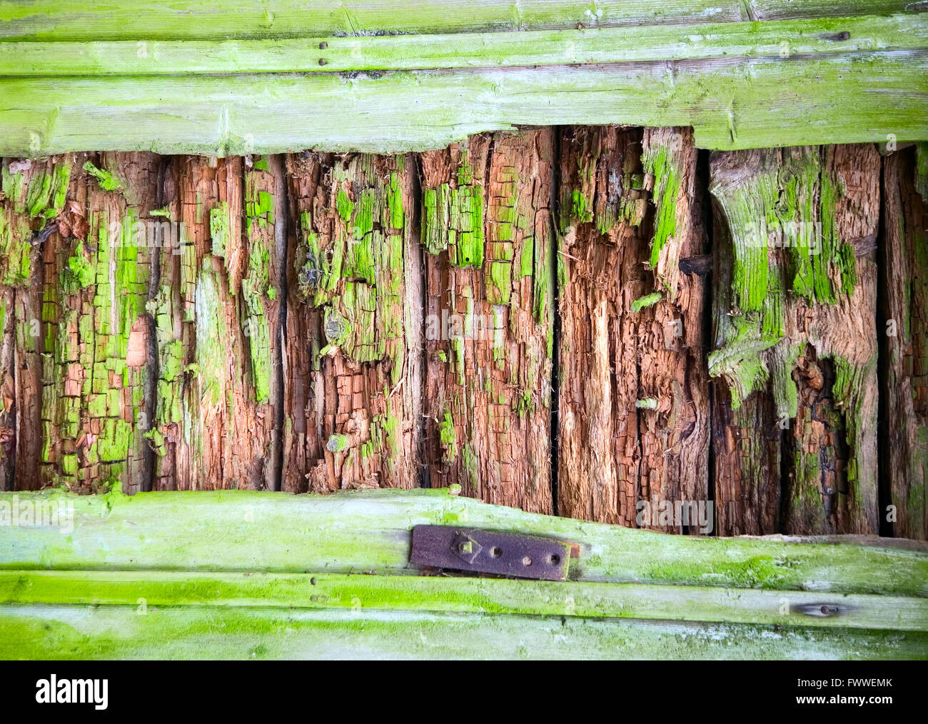 Aus Holz Textur des Holzes Zusammensetzung, Hintergrundbild Stockfoto