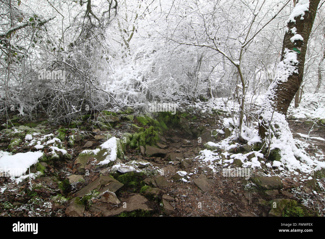 Dampf steigt aus einem Riss in der Rock - Borec Hill in der Tschechischen Mittelgebirges - natürliche Anziehungskraft Stockfoto