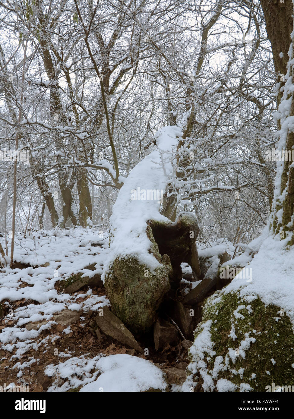 Dampf steigt aus einem Riss in der Rock - Borec Hill - Rauchen Hügel - natürliches Interesse an der Tschechischen Mittelgebirges Stockfoto