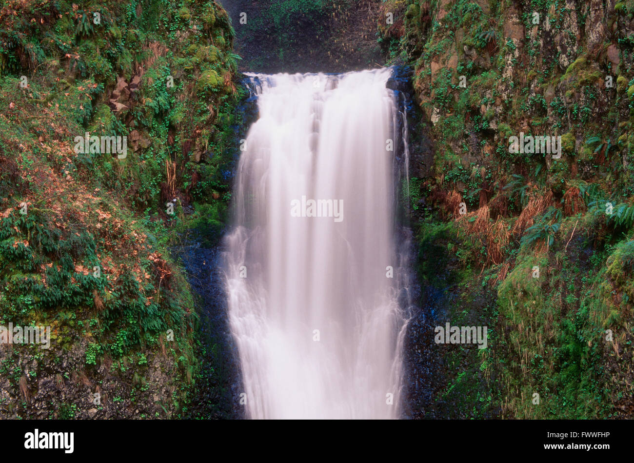 Multnomah Falls, Columbia River Gorge, Oregon, Vereinigte Staaten von Amerika Stockfoto