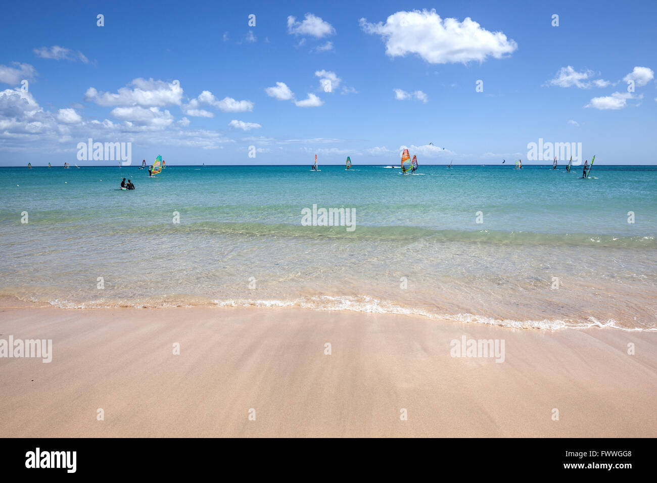 Windsurfer im türkisfarbenen Wasser off Playa Risco del Paso Strand, Playa de Sotavento, Jandia, Fuerteventura Stockfoto