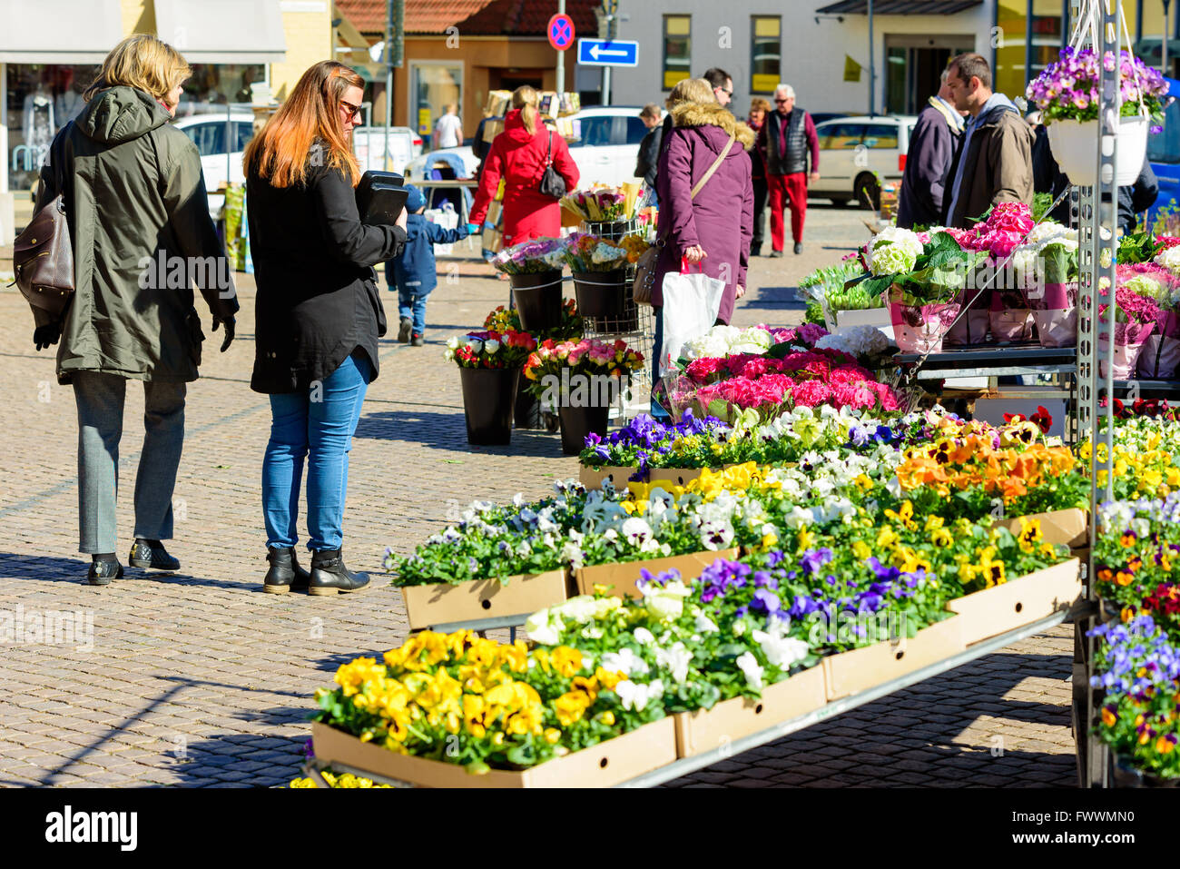 Simrishamn, Schweden - 1. April 2016: Markttag mit vielen Frühlingsblumen auf Verkauf. Stiefmütterchen in verschiedenen Farben auf dem Display. FOCU Stockfoto