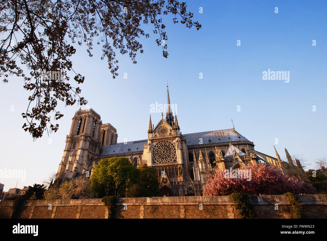 Kathedrale Notre-Dame im warmen Abendlicht, Paris, Frankreich Stockfoto