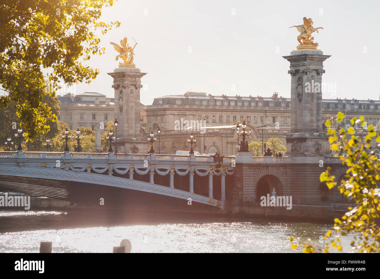 Blick auf Paris und Seine Fluss in sonniger Tag, Brücke von Alexandre 3 durch grüne Blätter, Sommer in Frankreich Stockfoto