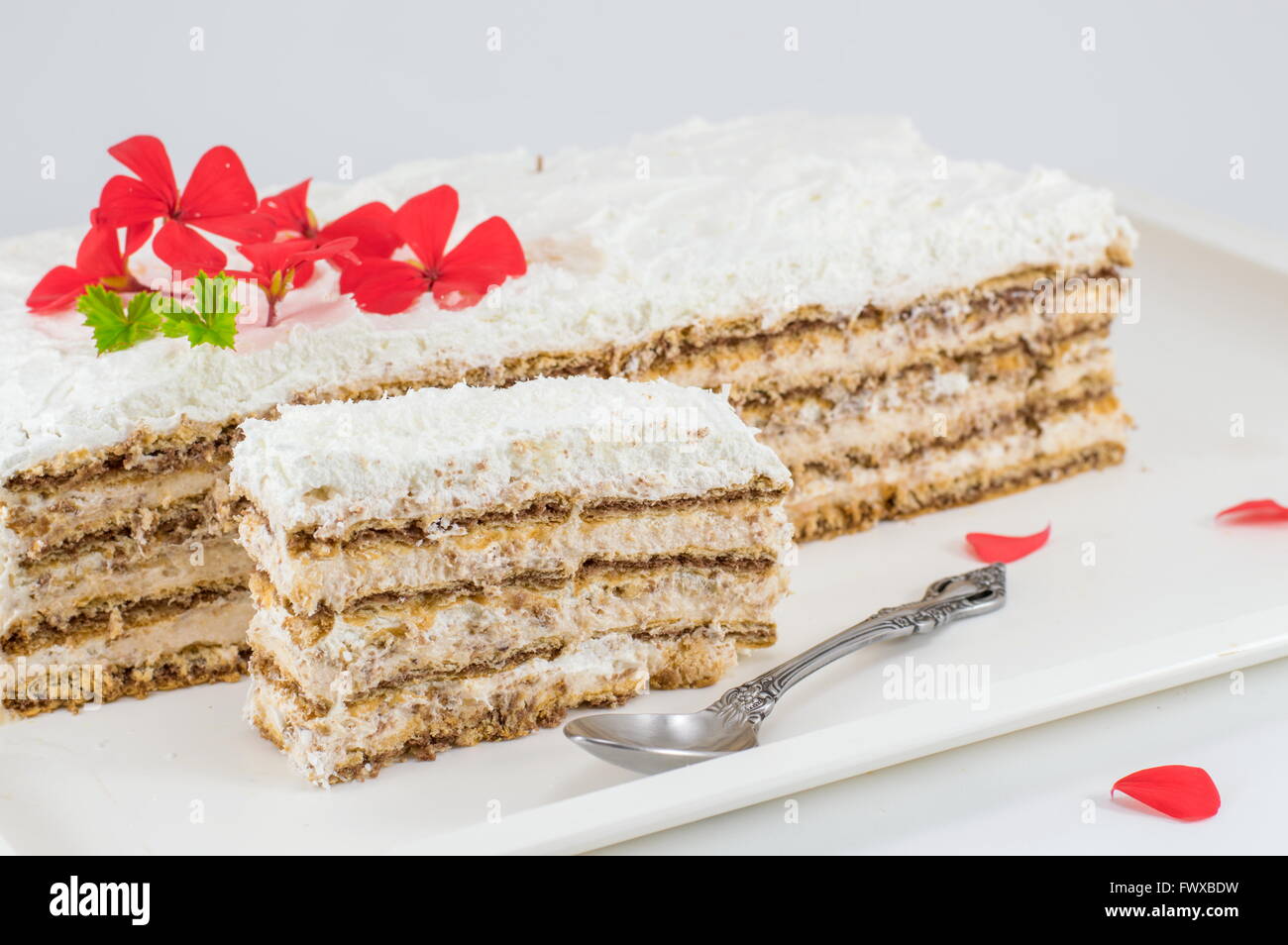 Hausgemachte süße Kuchen auf einem Tablett Stockfoto
