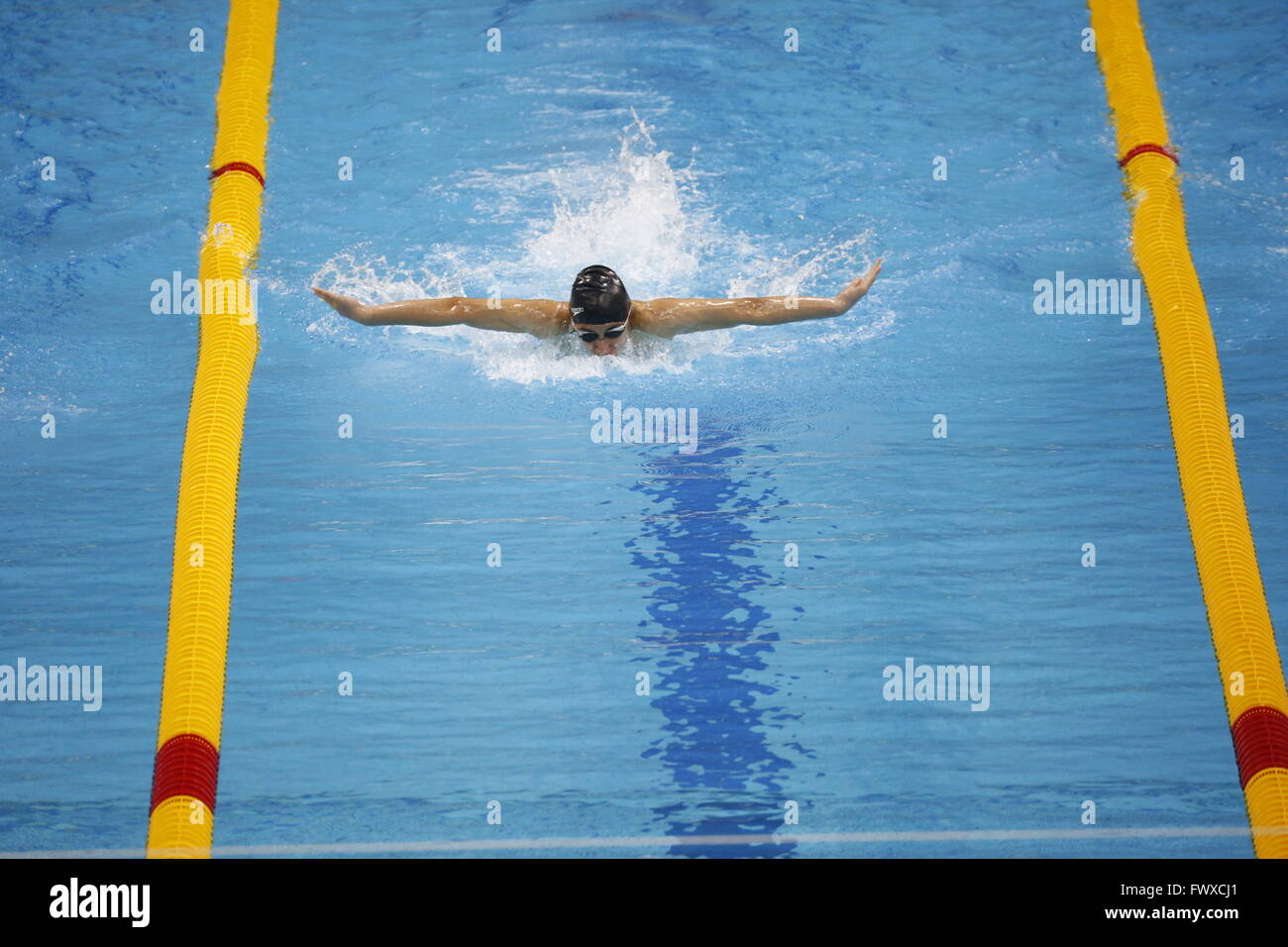 Hamdan Sportkomplex, Dubai, U.A.E. 7. April 2016. Schwimmer im Wettbewerb bei den 6. internationalen Aquatic Meisterschaft 2016 Stockfoto