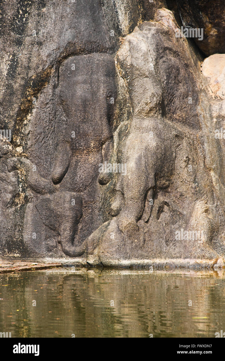 Bas-Relief Elefanten am Isunumuni Raja Hama Viharaya, Anuradhapura (UNESCO-Weltkulturerbe), Sri Lanka Stockfoto