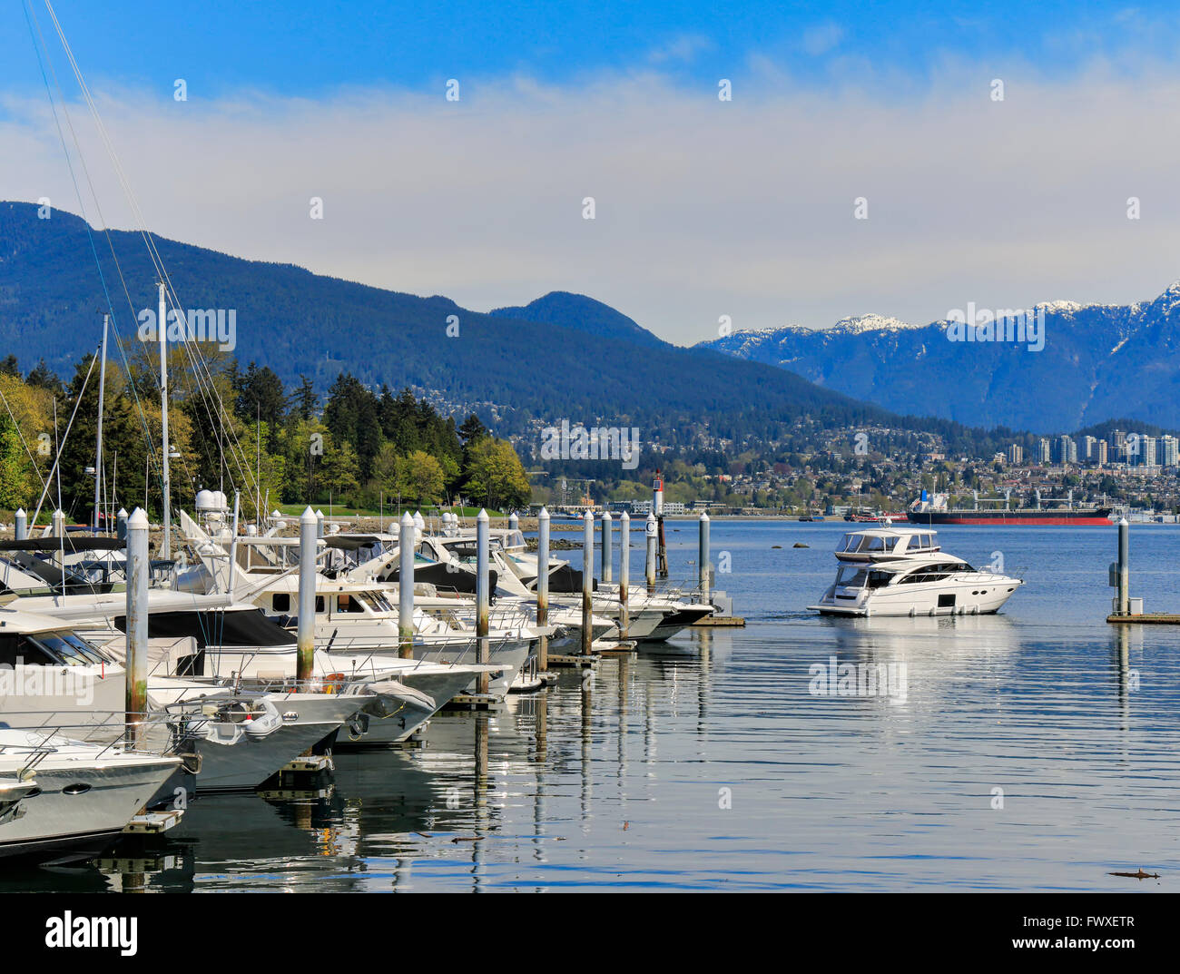 Coal Harbour Marina in der Innenstadt von Vancouver, BC, Kanada. Stockfoto