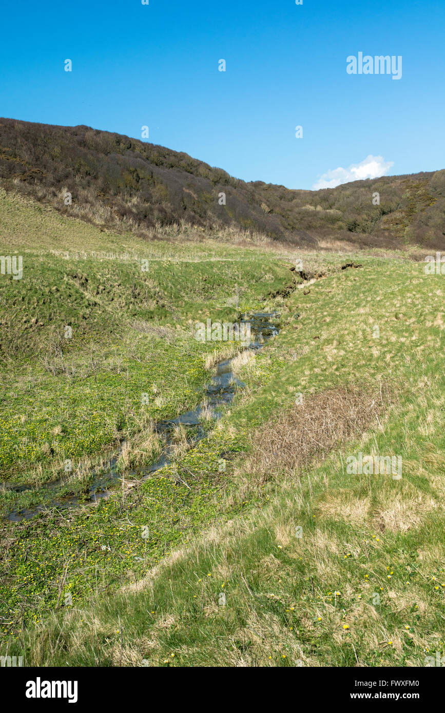 Tal mit einem Bach durchzogen. Stockfoto