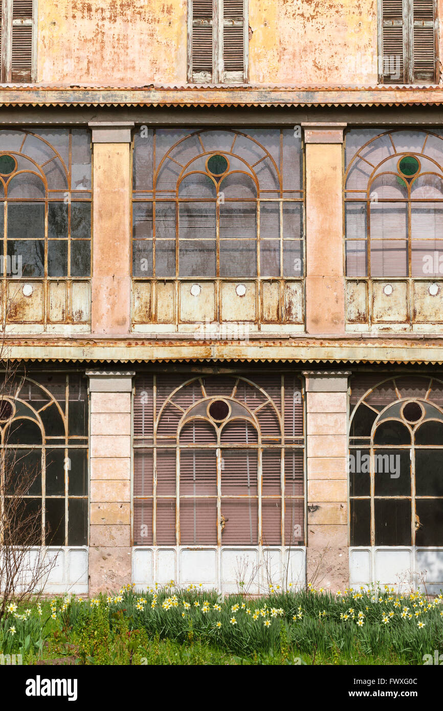 Detail der verglasten Loggia in der Villa Ida, Treviglio, eine große verlassene Ende des 19. Jahrhunderts Haus mit Narzissen. Stockfoto