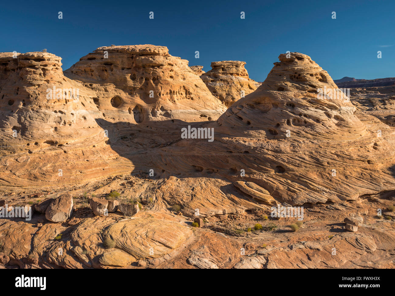 Slickrock Sandsteinformationen über Dirty Devil River, Glen Canyon National Recreation Area, Utah, USA Stockfoto