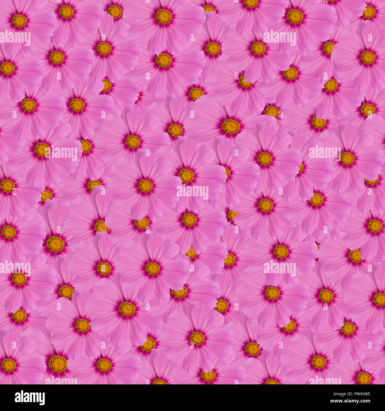 Rosa Kosmos Hintergrund Stockfoto