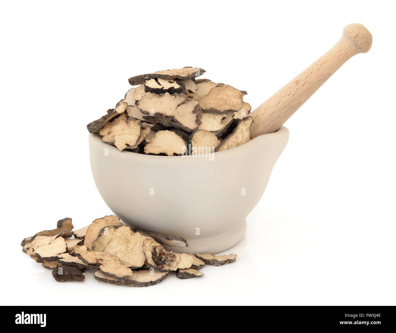 Pilz Pilz-Kraut in der chinesischen Kräutermedizin in einem Steinmörser mit Stößel über weißen Hintergrund verwendet. Polyporia Sklerotium. Stockfoto