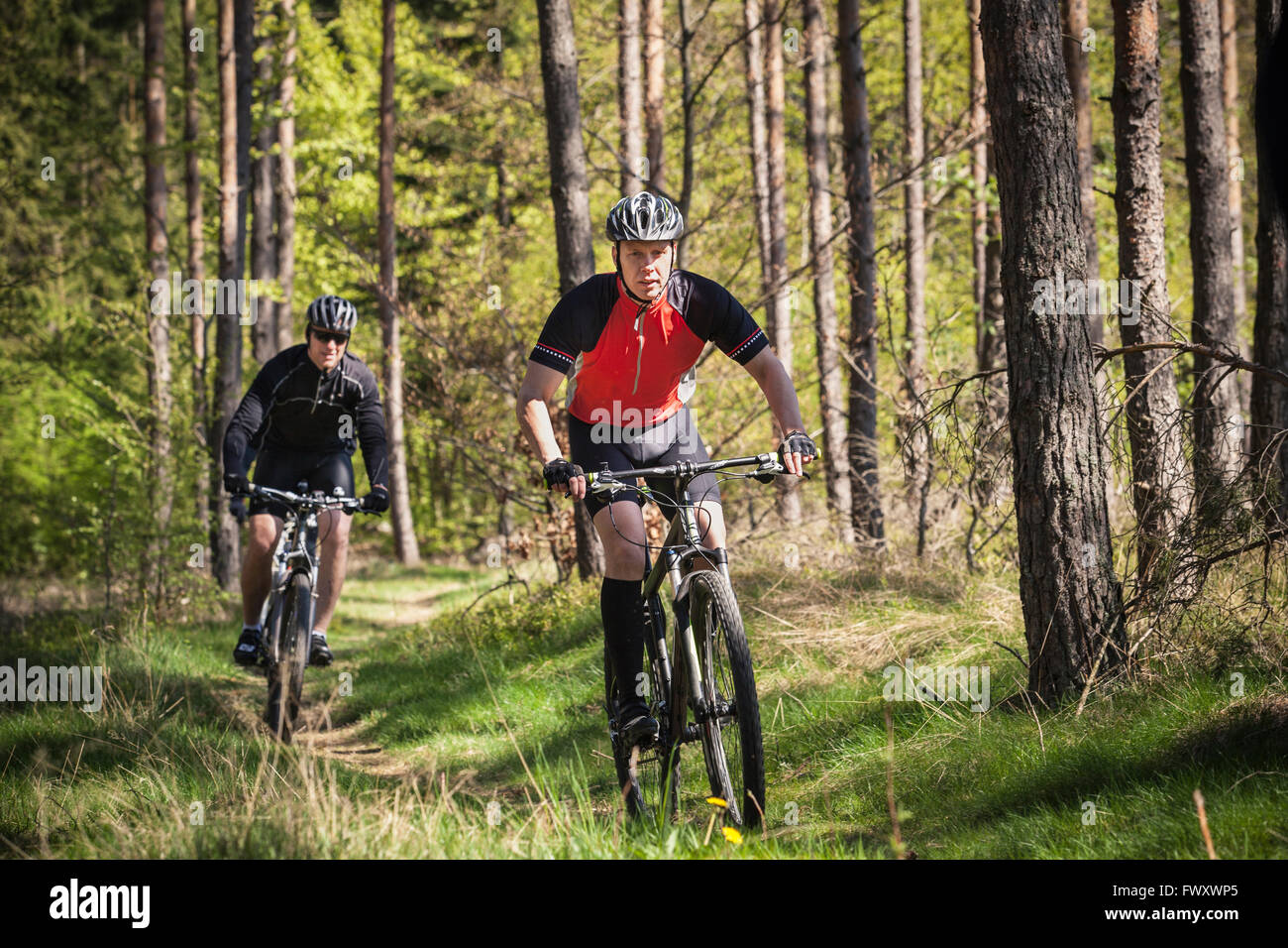 Schweden, Blekinge, Solvesborg, Ryssberget, reife Männer reiten auf Mountainbikes durch Wald Stockfoto