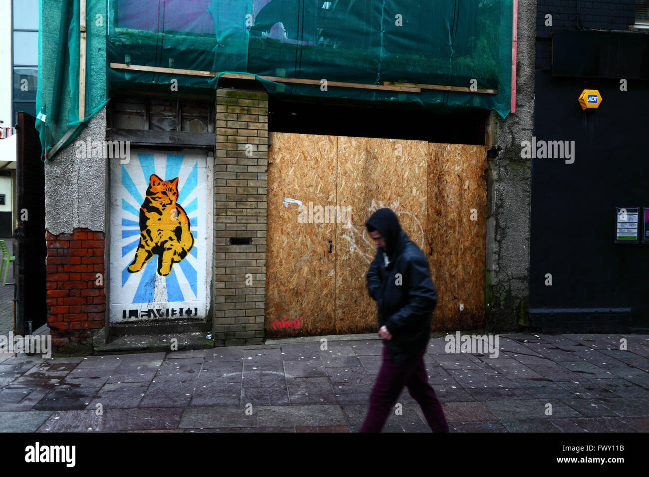 Junger Mann mit Kapuzen Top vorbei gehen. cat Wandbild auf verlassenen Gebäude in Womanby Street, Cardiff, South Glamorgan, Wales, Großbritannien Stockfoto