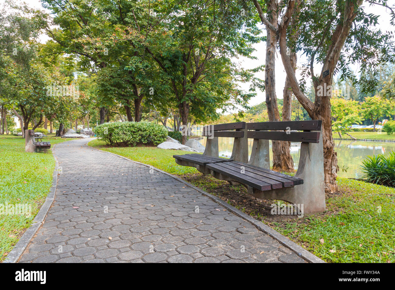 Bank unter dem Baum im park Stockfoto